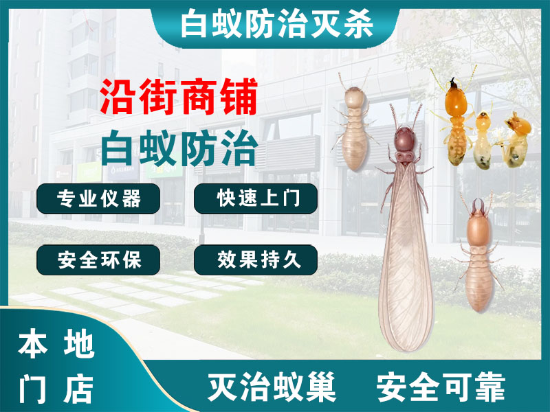 南通沿街商铺白蚁防治