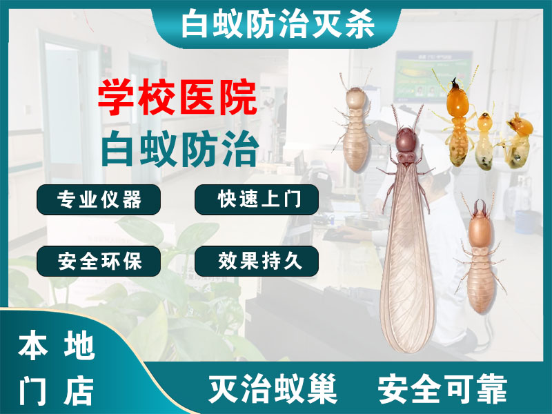 南通学校医院白蚁防治