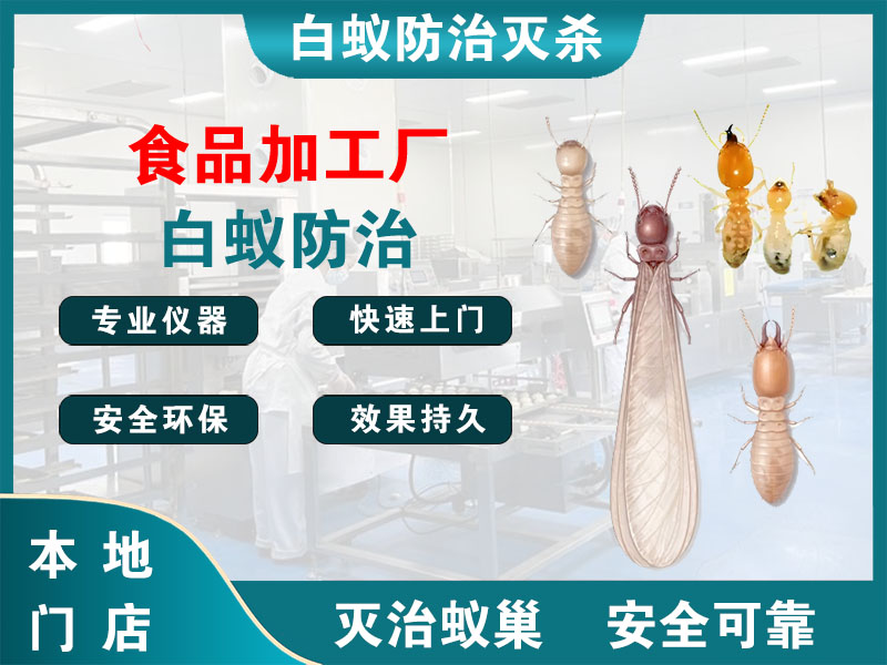南通食品加工厂白蚁防治