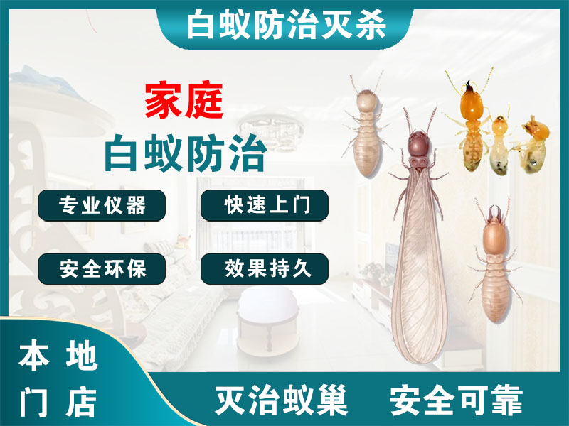 南通家庭白蚁防治