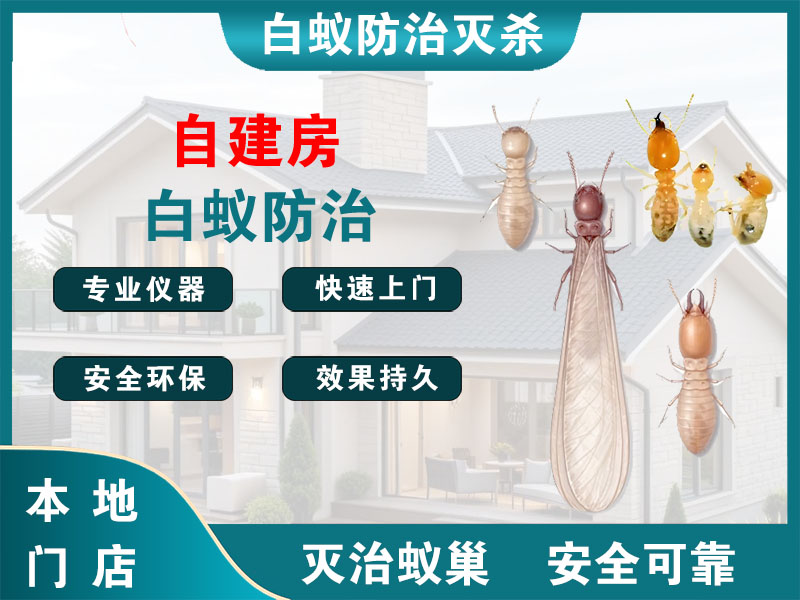 南通自建房白蚁防治