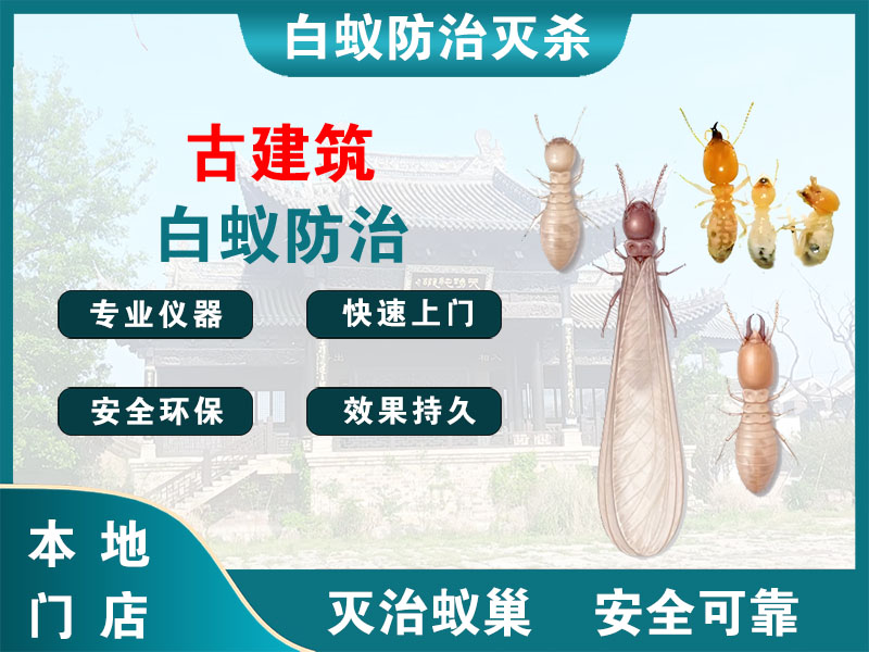 南通古建筑白蚁防治