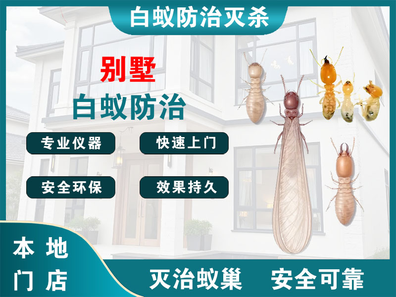 南通别墅白蚁防治