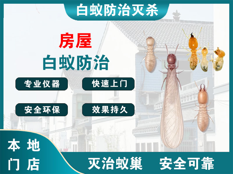 南通房屋白蚁防治